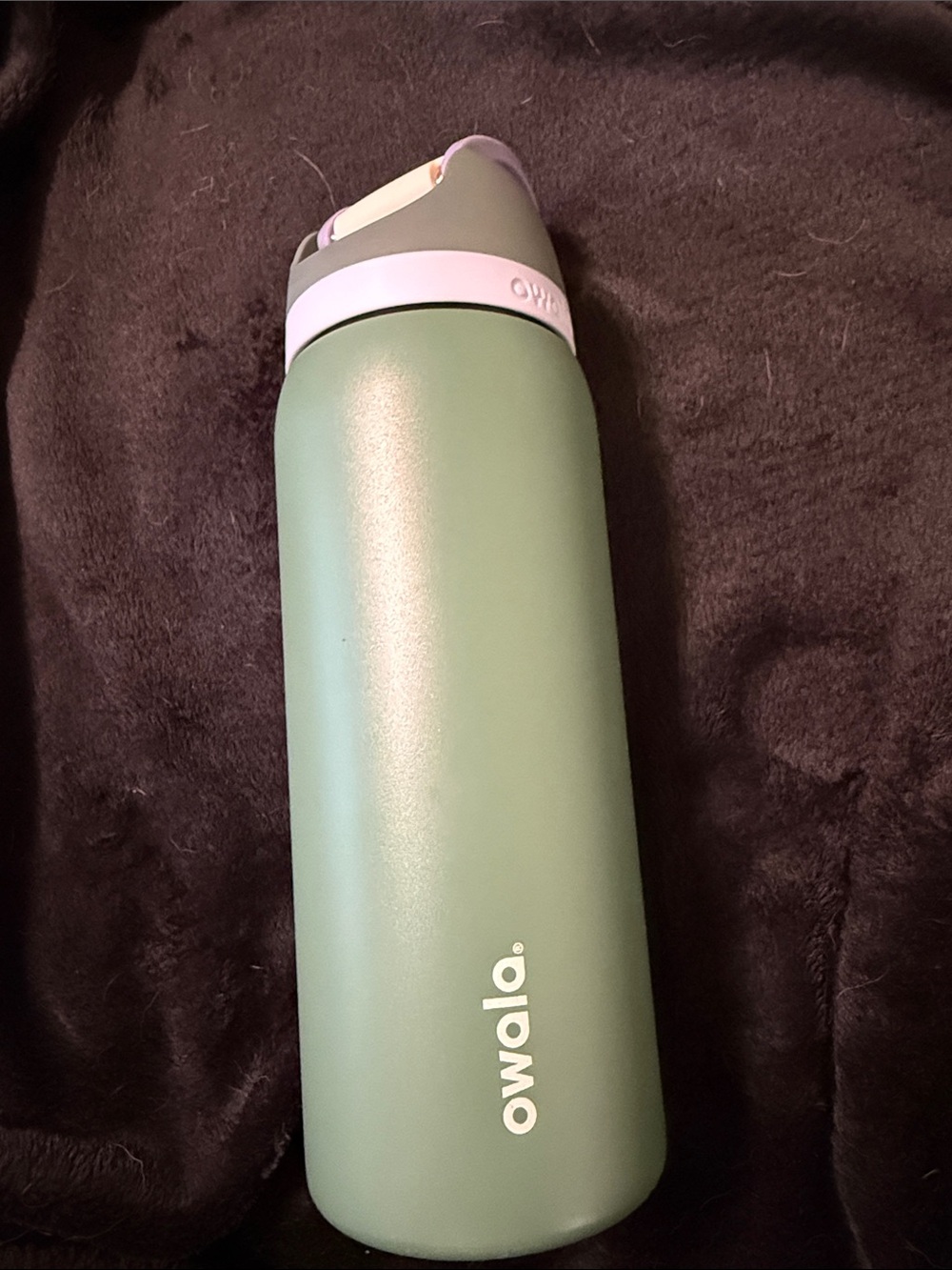 Owala 32oz Free Sip Misty Meadow